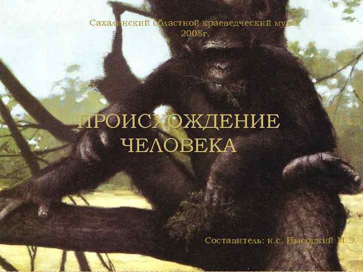 Сахалинский областной краеведческий музей 2008 г. ПРОИСХОЖДЕНИЕ ЧЕЛОВЕКА Составитель: н. с. Высоцкий М. Э.