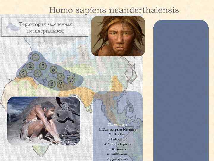 Homo sapiens neanderthalensis Территория заселенная неандертальцем 1 2 3 5 4 6 8 7