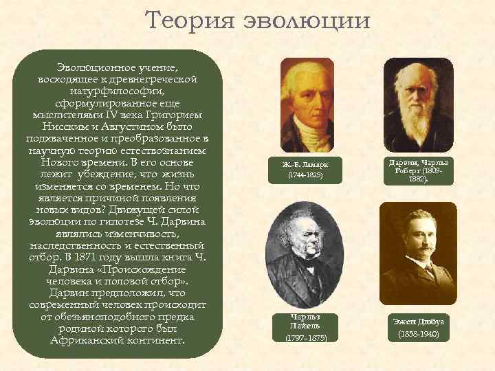 Теория эволюции Эволюционное учение, восходящее к древнегреческой натурфилософии, сформулированное еще мыслителями IV века Григорием