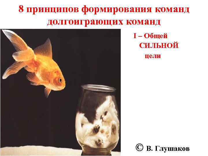 8 принципов формирования команд долгоиграющих команд I – Общей СИЛЬНОЙ цели © В. Глушаков