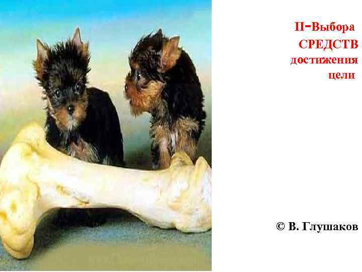 - II Выбора СРЕДСТВ достижения цели © В. Глушаков 