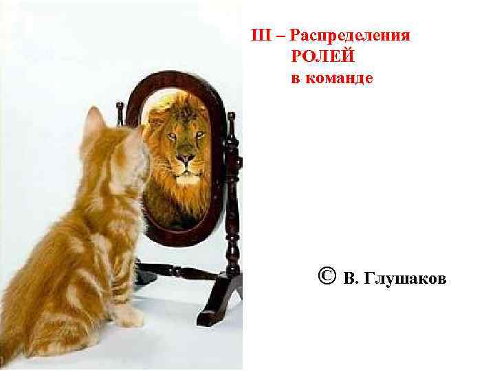 III – Распределения РОЛЕЙ в команде © В. Глушаков 