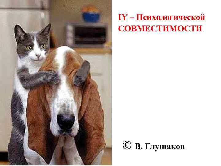 IY – Психологической СОВМЕСТИМОСТИ © В. Глушаков 