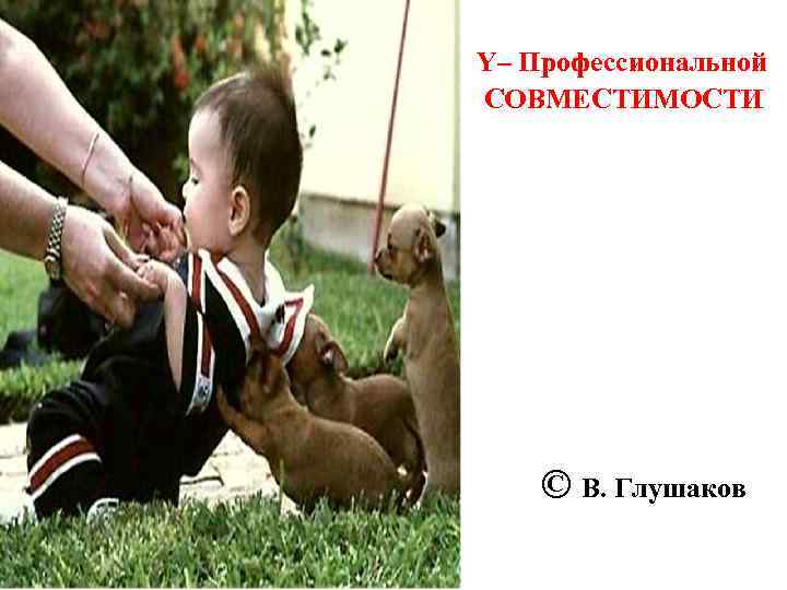 Y– Профессиональной СОВМЕСТИМОСТИ © В. Глушаков 
