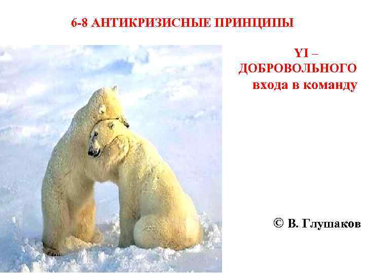 6 -8 АНТИКРИЗИСНЫЕ ПРИНЦИПЫ YI – ДОБРОВОЛЬНОГО входа в команду © В. Глушаков 