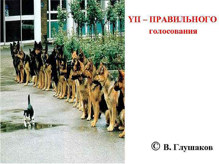 YII – ПРАВИЛЬНОГО голосования © В. Глушаков 