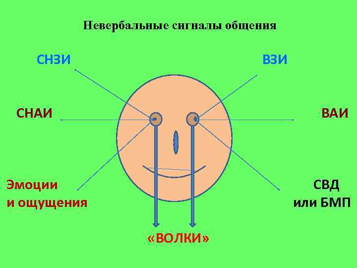 Невербальные сигналы общения СНЗИ ВЗИ СНАИ ВАИ Эмоции и ощущения СВД или БМП «ВОЛКИ»