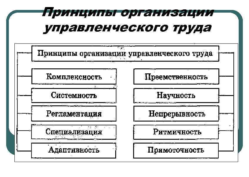 Организация труда и управление трудом. Принципы организации управленческого труда. Принципы организации труда управленческого персонала. Принципы научной организации управленческого труда. Основные принципы научной организации труда.