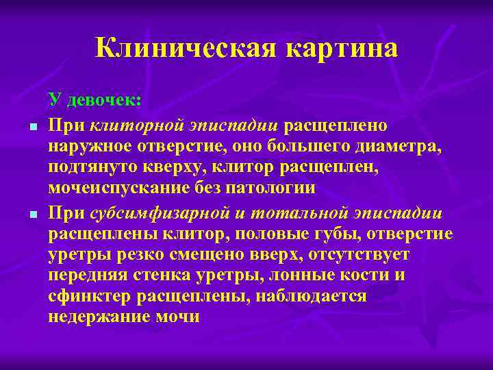 Клиническая картина n n У девочек: При клиторной эписпадии расщеплено наружное отверстие, оно большего