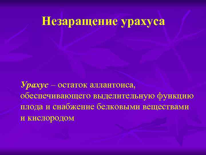 Незаращение урахуса Урахус – остаток аллантоиса, обеспечивающего выделительную функцию плода и снабжение белковыми веществами