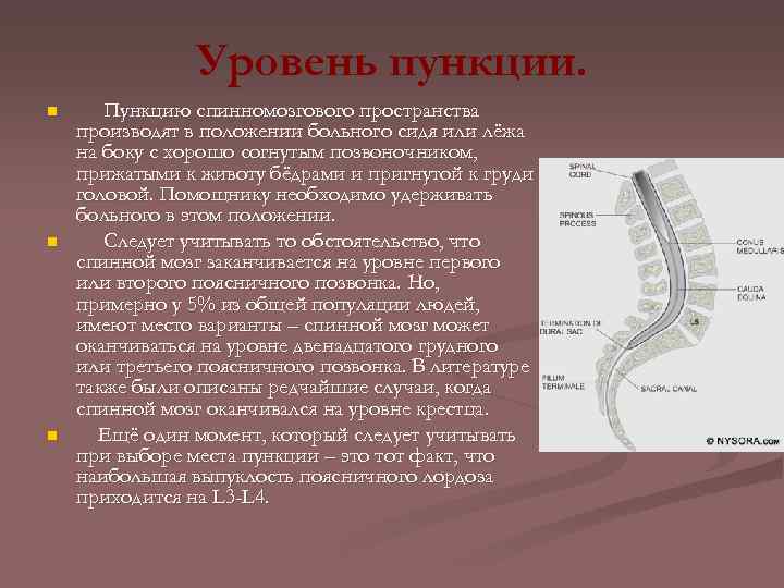 Уровень пункции. n n n Пункцию спинномозгового пространства производят в положении больного сидя или