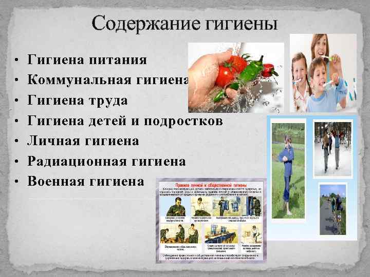 Содержание гигиены • Гигиена питания • Коммунальная гигиена • Гигиена труда • Гигиена детей