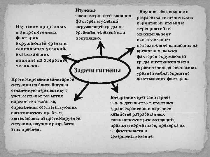  Изучение природных и антропогенных факторов окружающей среды и социальных условий, оказывающих влияние на