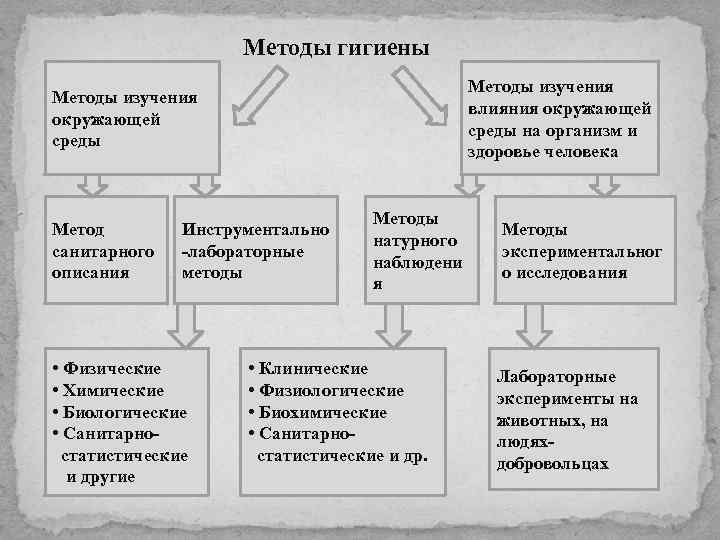 Методы гигиены Методы изучения влияния окружающей среды на организм и здоровье человека Методы изучения