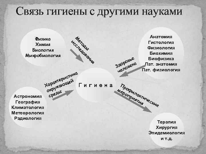 Связь гигиены с другими науками я и ан ы в од до ет е