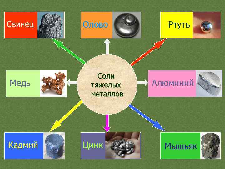 Свинец Медь Кадмий Олово Соли тяжелых металлов Цинк Ртуть Алюминий Мышьяк 