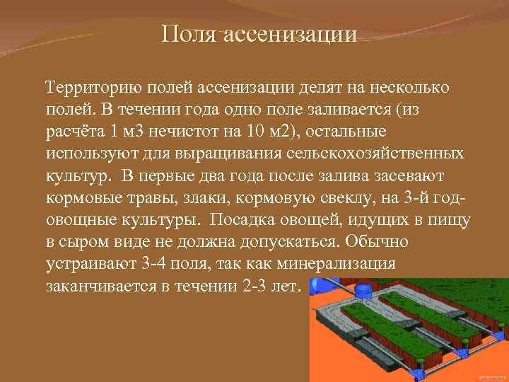 Поля ассенизации Территорию полей ассенизации делят на несколько полей. В течении года одно поле