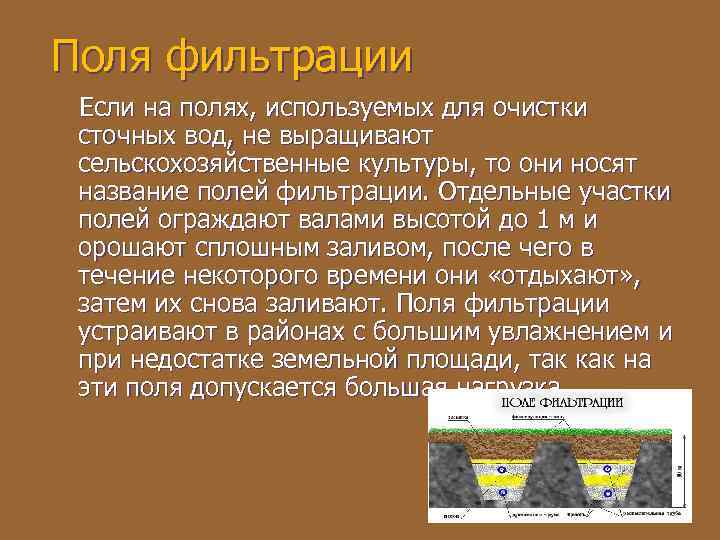 Поля фильтрации Если на полях, используемых для очистки сточных вод, не выращивают сельскохозяйственные культуры,