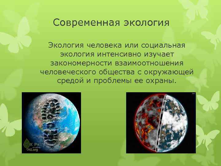 Современная экология Экология человека или социальная экология интенсивно изучает закономерности взаимоотношения человеческого общества с
