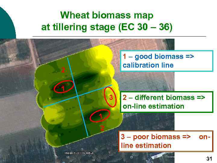 Wheat biomass map at tillering stage (ЕС 30 – 36) 1 – good biomass