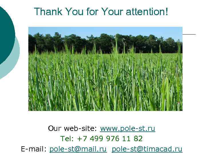 Thank You for Your attention! Our web-site: www. pole-st. ru Tel: +7 499 976