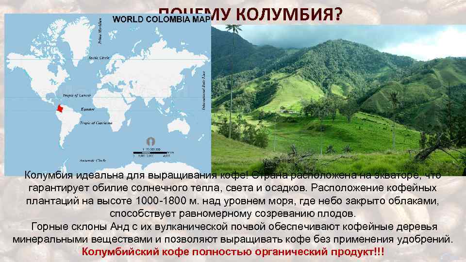 ПОЧЕМУ КОЛУМБИЯ? Колумбия идеальна для выращивания кофе! Страна расположена на экваторе, что гарантирует обилие