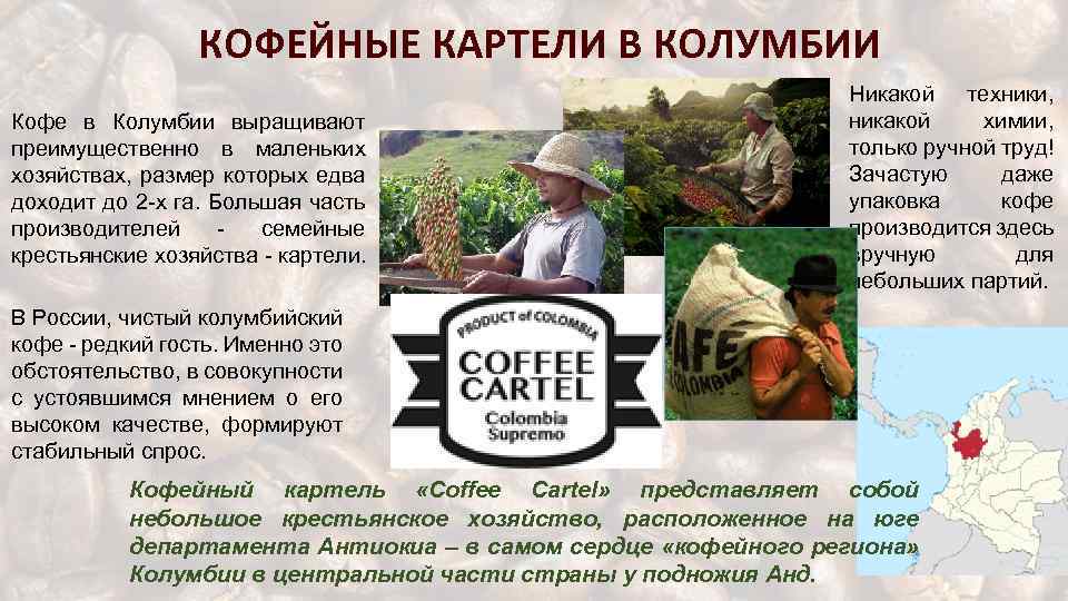 КОФЕЙНЫЕ КАРТЕЛИ В КОЛУМБИИ Кофе в Колумбии выращивают преимущественно в маленьких хозяйствах, размер которых