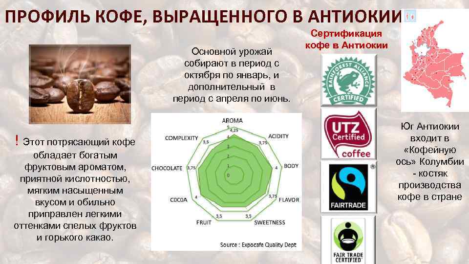 ПРОФИЛЬ КОФЕ, ВЫРАЩЕННОГО В АНТИОКИИ Основной урожай собирают в период с октября по январь,