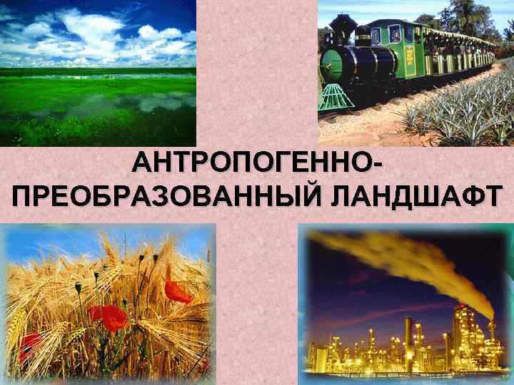 АНТРОПОГЕННОПРЕОБРАЗОВАННЫЙ ЛАНДШАФТ 