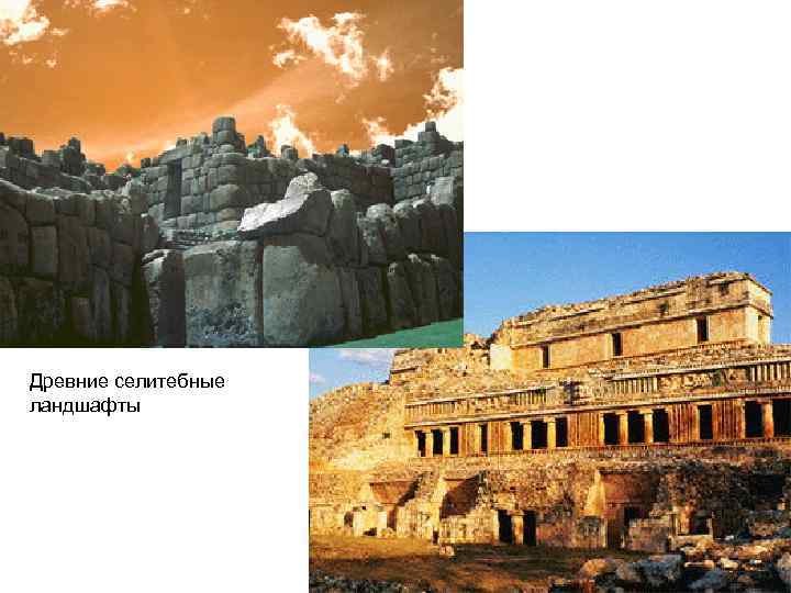 Древние селитебные ландшафты 