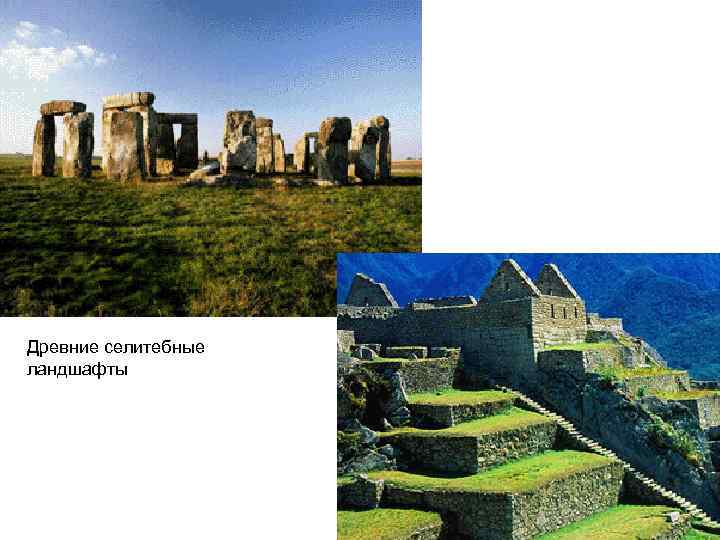 Древние селитебные ландшафты 