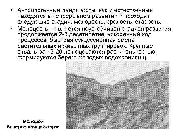  • Антропогенные ландшафты, как и естественные находятся в непрерывном развитии и проходят следующие