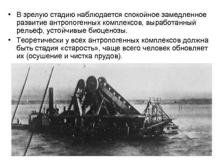  • В зрелую стадию наблюдается спокойное замедленное развитие антропогенных комплексов, выработанный рельеф, устойчивые