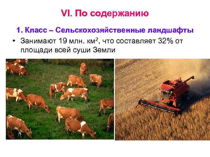 VI. По содержанию 1. Класс – Сельскохозяйственные ландшафты • Занимают 19 млн. км 2,