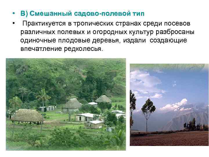 • В) Смешанный садово-полевой тип • Практикуется в тропических странах среди посевов различных