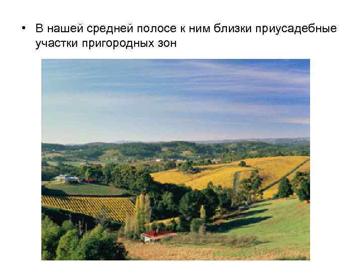  • В нашей средней полосе к ним близки приусадебные участки пригородных зон 