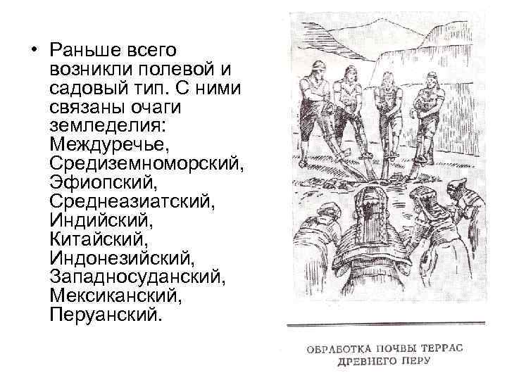  • Раньше всего возникли полевой и садовый тип. С ними связаны очаги земледелия: