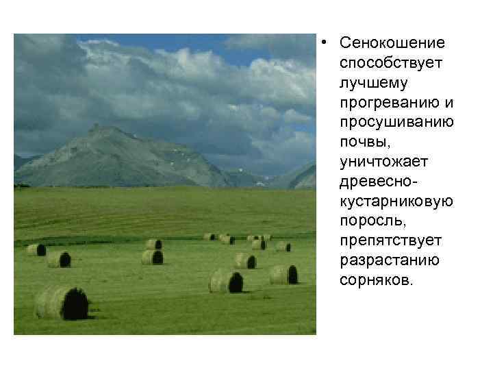  • Сенокошение способствует лучшему прогреванию и просушиванию почвы, уничтожает древеснокустарниковую поросль, препятствует разрастанию