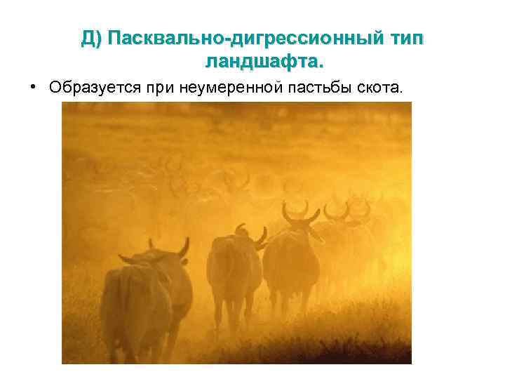 Д) Пасквально-дигрессионный тип ландшафта. • Образуется при неумеренной пастьбы скота. 