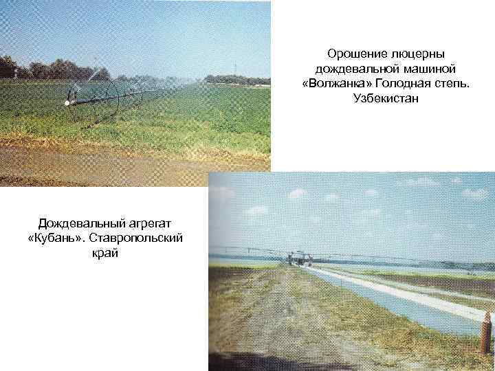 Орошение люцерны дождевальной машиной «Волжанка» Голодная степь. Узбекистан Дождевальный агрегат «Кубань» . Ставропольский край