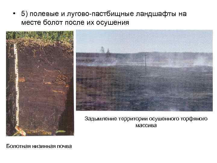  • 5) полевые и лугово-пастбищные ландшафты на месте болот после их осушения Задымление