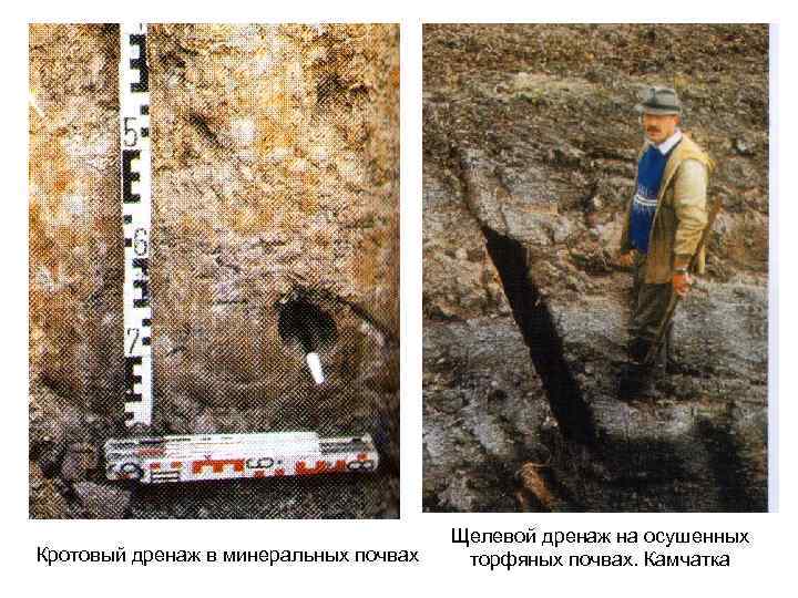 Кротовый дренаж в минеральных почвах Щелевой дренаж на осушенных торфяных почвах. Камчатка 