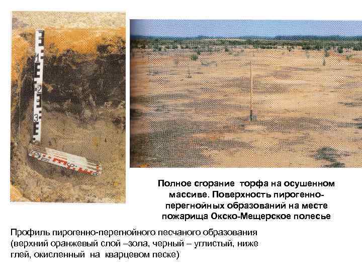Полное сгорание торфа на осушенном массиве. Поверхность пирогенноперегнойных образований на месте пожарища Окско-Мещерское полесье