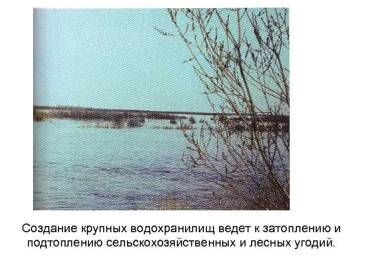 Создание крупных водохранилищ ведет к затоплению и подтоплению сельскохозяйственных и лесных угодий. 
