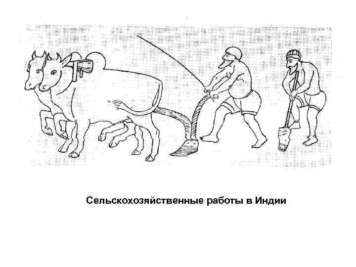 Сельскохозяйственные работы в Индии 