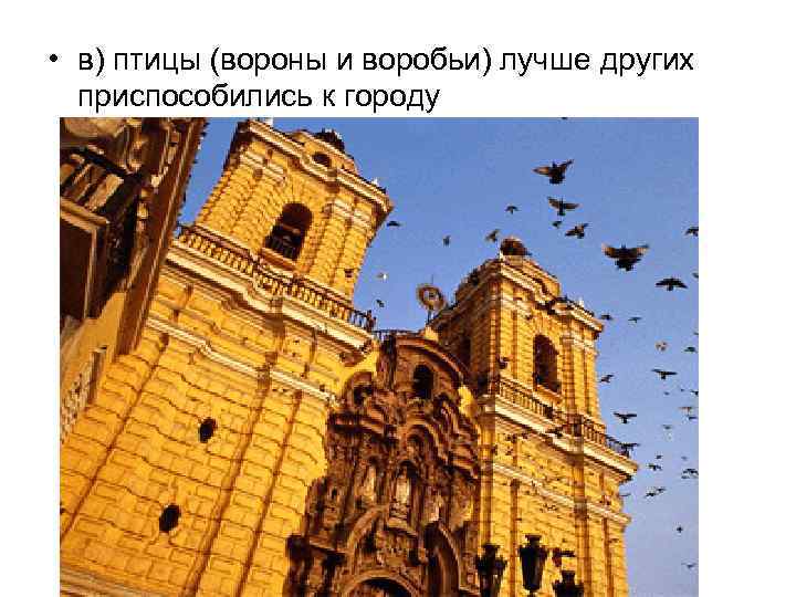  • в) птицы (вороны и воробьи) лучше других приспособились к городу 