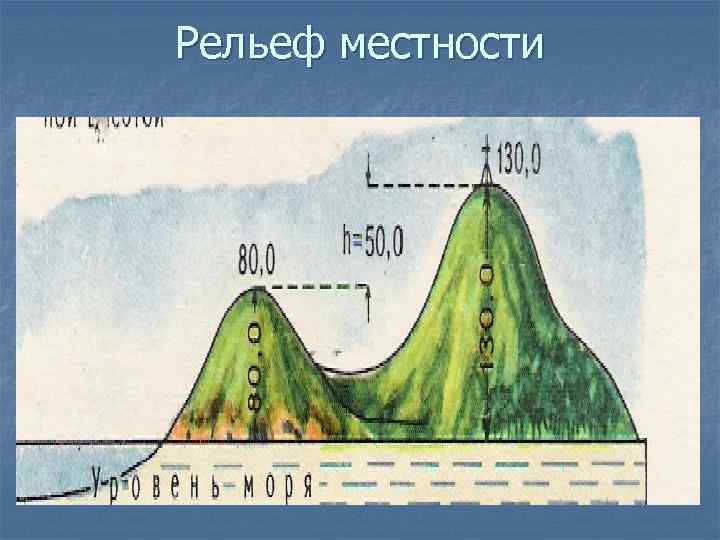 Какой рельеф местности