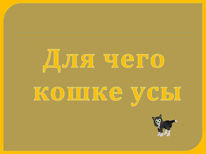 Для чего кошке усы 