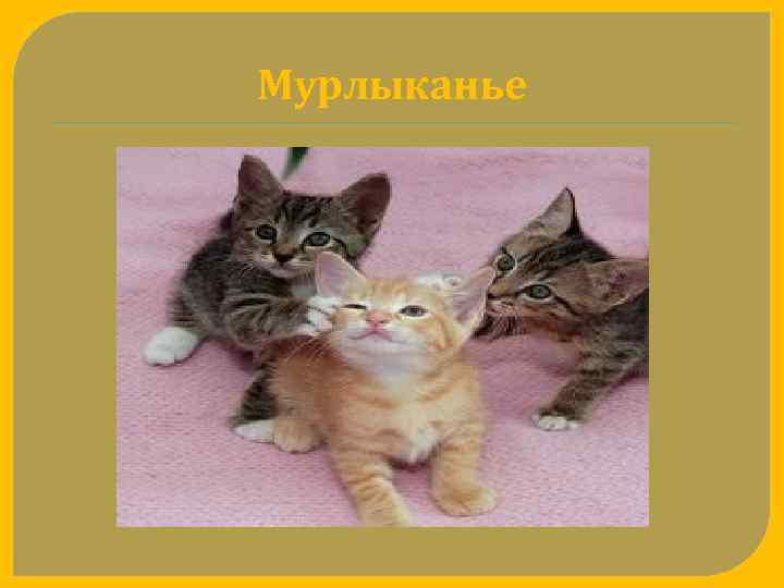 Мурлыканье 