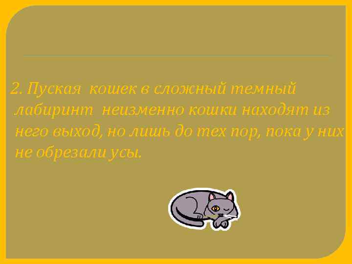 2. Пуская кошек в сложный темный лабиринт неизменно кошки находят из него выход, но